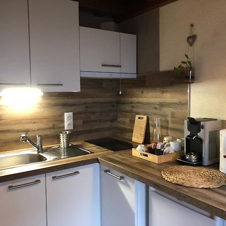 לה טולי Duplex - Proche De Gerardmer מראה חיצוני תמונה