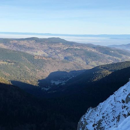 לה טולי Duplex - Proche De Gerardmer מראה חיצוני תמונה
