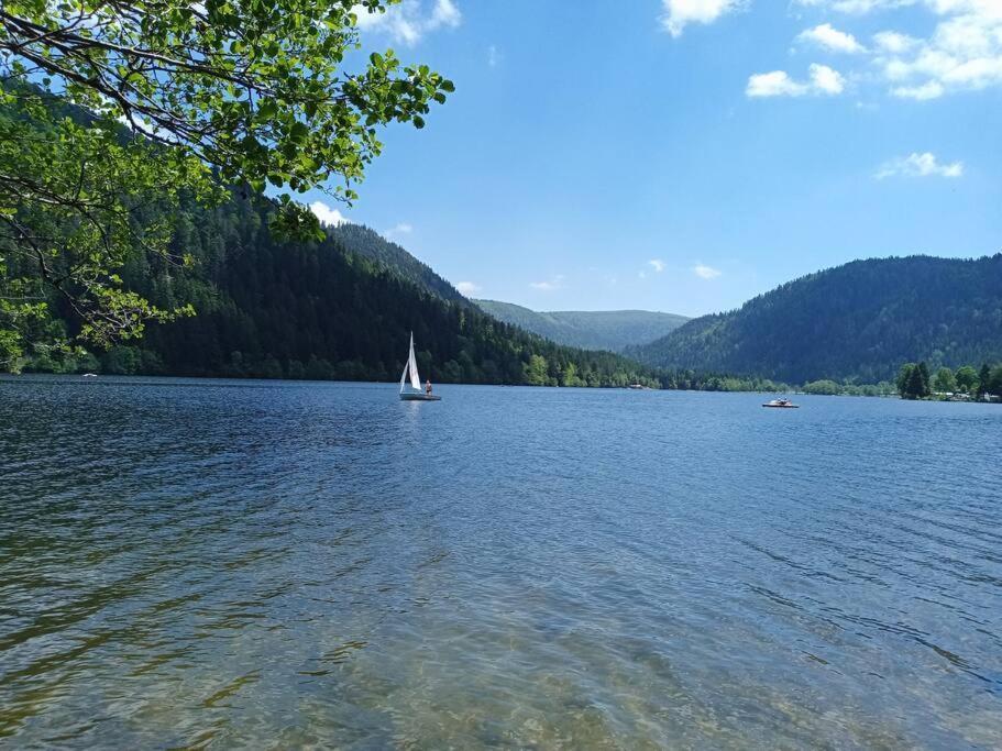 לה טולי Duplex - Proche De Gerardmer מראה חיצוני תמונה