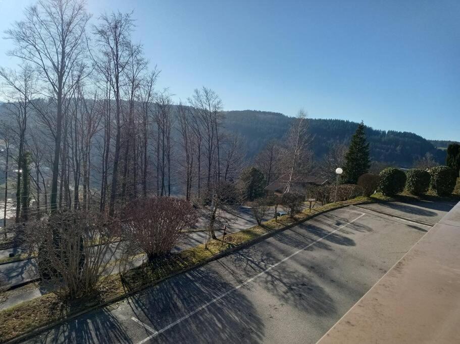 לה טולי Duplex - Proche De Gerardmer מראה חיצוני תמונה