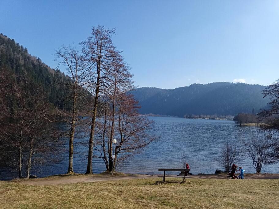 לה טולי Duplex - Proche De Gerardmer מראה חיצוני תמונה