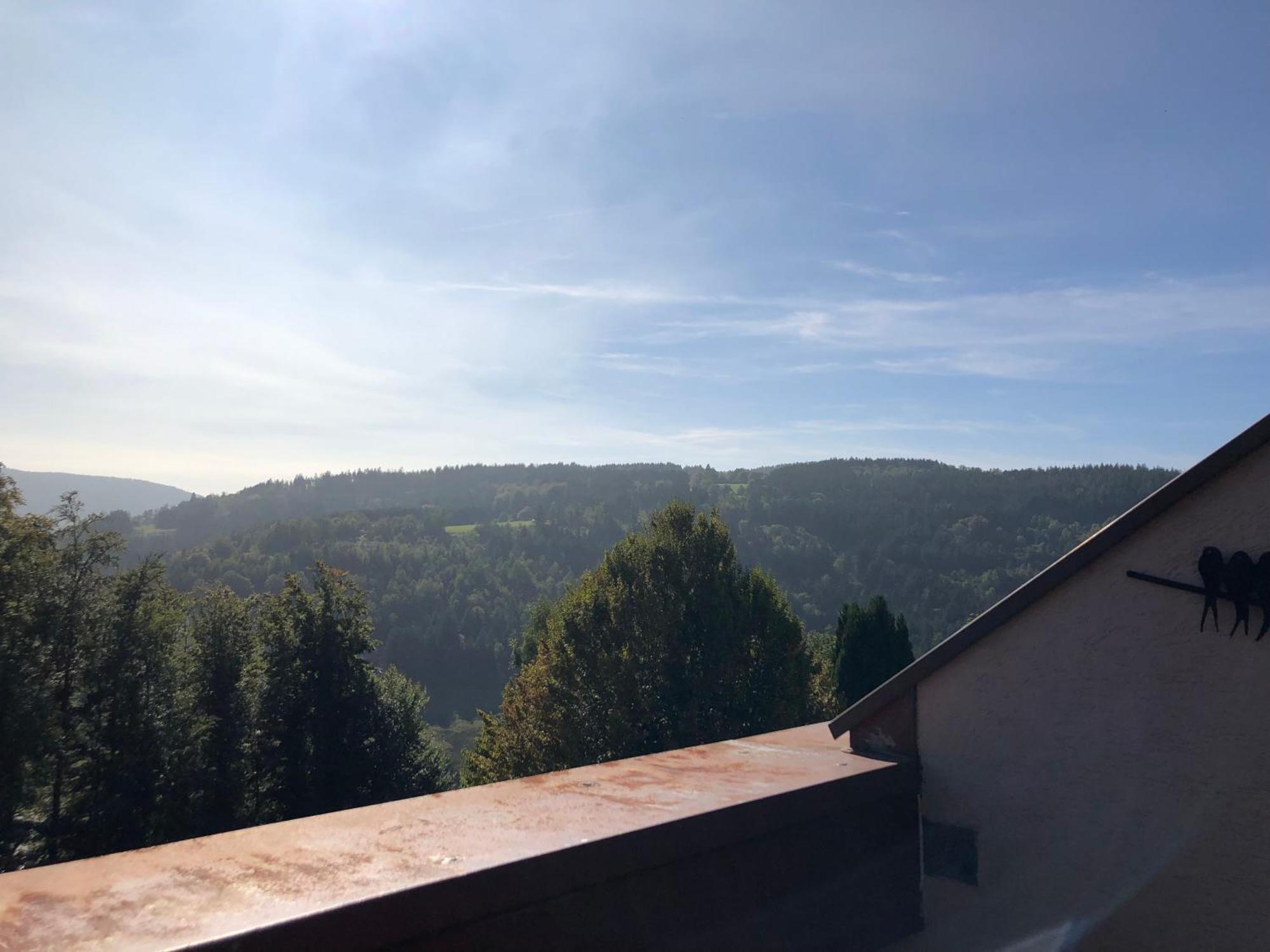 לה טולי Duplex - Proche De Gerardmer מראה חיצוני תמונה