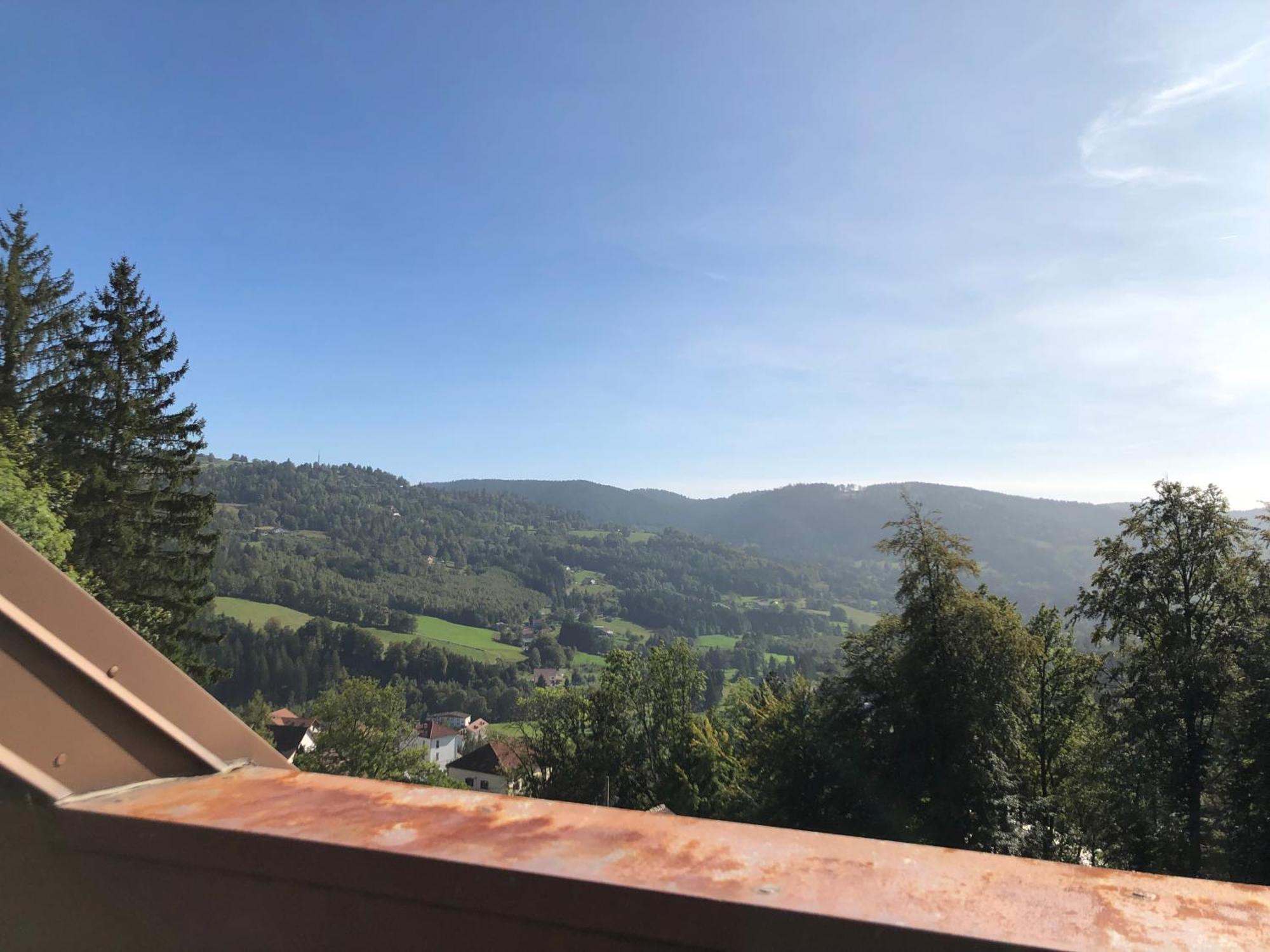 לה טולי Duplex - Proche De Gerardmer מראה חיצוני תמונה